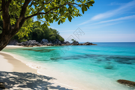 海滩一天夏天的普吉岛背景