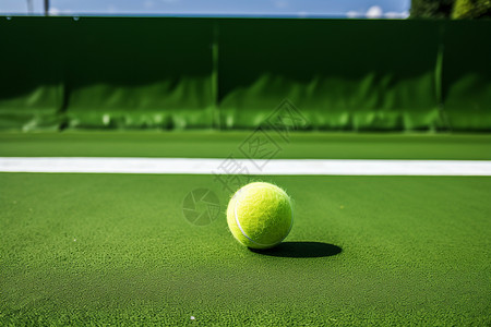 草坪上的网球图片