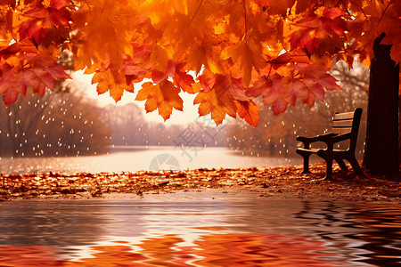 秋季美丽的枫叶公园图片
