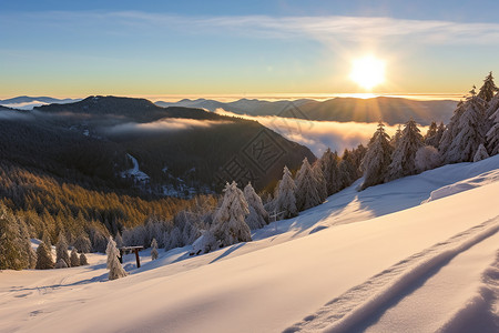 冬季美丽的雪山景观图片
