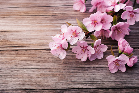 木质台面上摆放着一束粉色的花朵图片