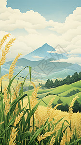 山间辽阔的稻田图片