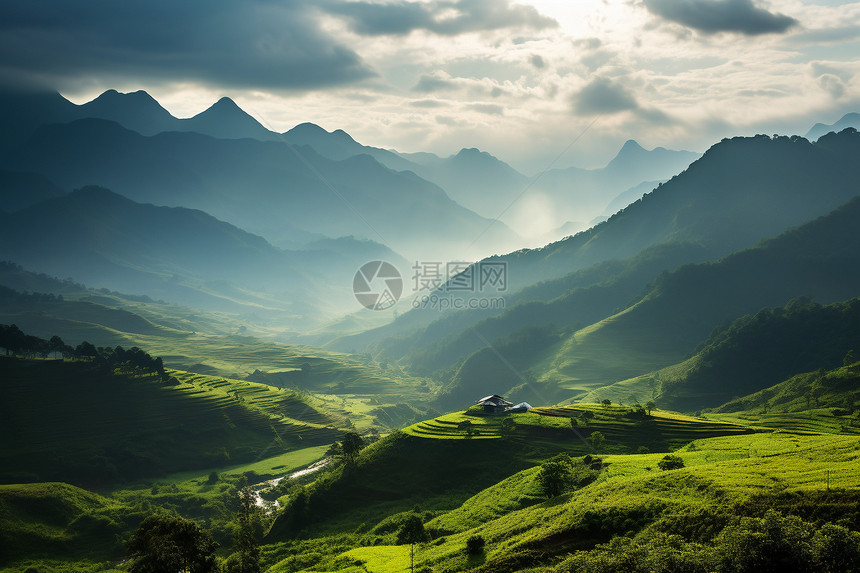 薄雾弥漫的山林景观图片