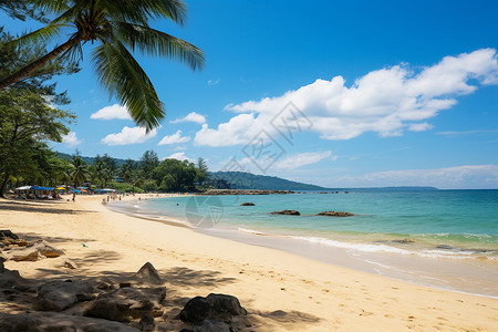 阳光明媚的度假海滩景观图片