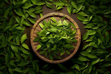 健康养生的绿茶图片