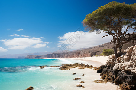 碧海蓝天中的沙滩图片