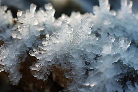 户外雪花霜冻冰晶图片