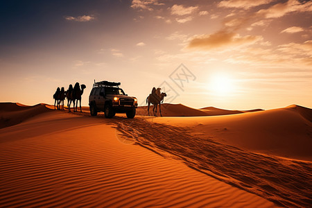 沙漠之旅的汽车和骆驼图片