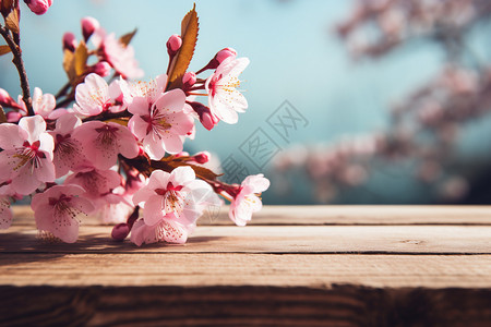 春季盛开的美丽樱花图片