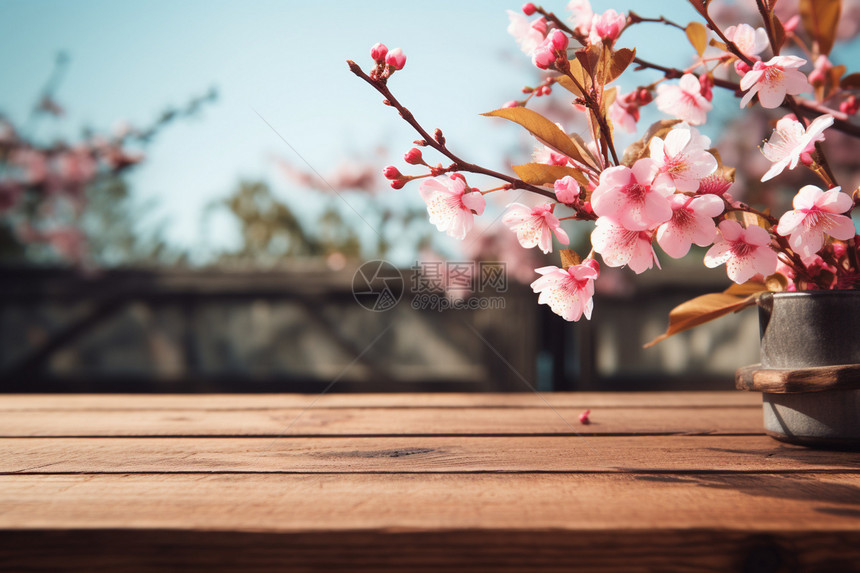木桌上的樱花树枝图片