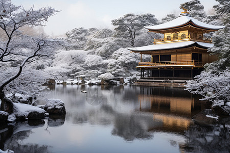 金色冰雪冰雪中的历史佛教建筑景观背景