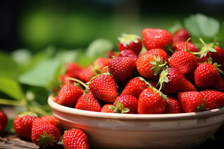 草坪上的草莓水果图片