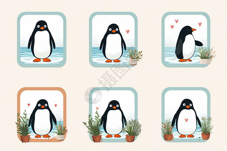 创意边框中的企鹅插画背景图片