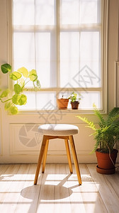 家居装饰绿植室内家居装饰的绿植盆栽背景
