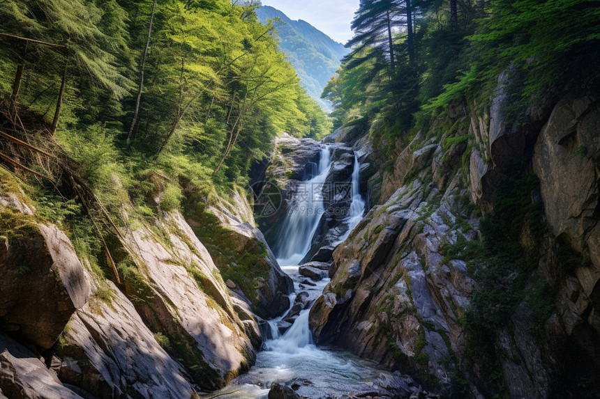 夏季山间瀑布的美丽景观图片