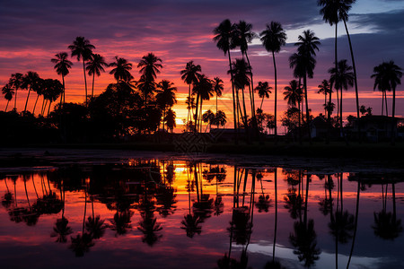 度假海滩旁棕榈树的美丽景观背景图片
