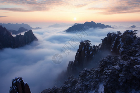 黄山的奇松怪石背景图片