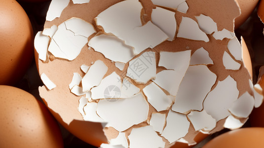 一个破裂的蛋壳图片