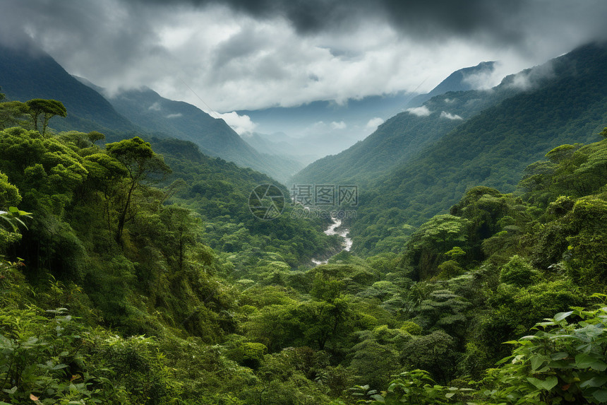 翠绿山谷的美丽景观图片