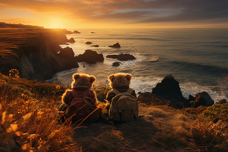 泰迪熊在海崖上分享壮丽的沙滩风景图片