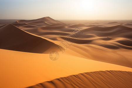 沙漠中金色波浪高清图片