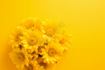 黄色葵花背景图片