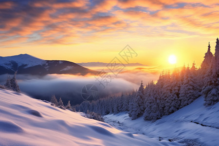 冬日魅影冬天美丽的天空高清图片