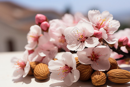 季节性的鲜花图片