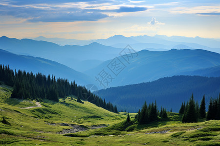 高山上的青草地图片