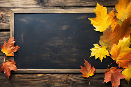 秋天黑板间的枫叶背景图片