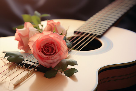 吉他玫瑰玫瑰与吉他背景