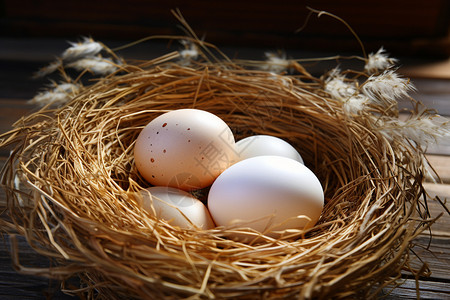 三个鸟蛋巢在木桌上，中间有一个蛋图片