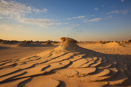 沙漠中的孤独之美图片