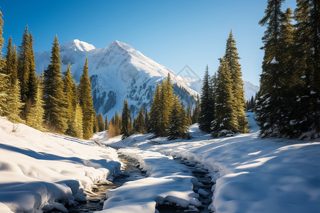 冬季雪山脚下的美丽景观图片