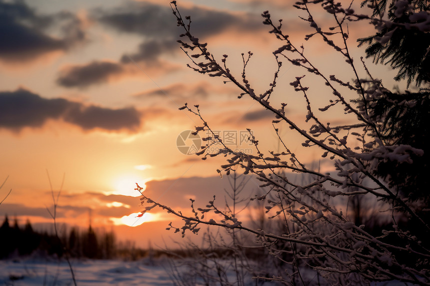 冬日的日落美景图片