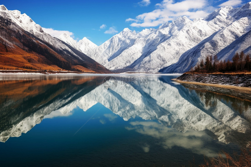 晨曦中的金山图片