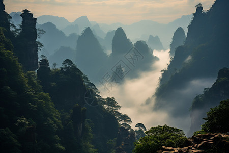 美丽的自然风景图片