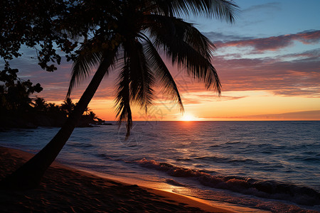 海边椰子树太阳日落时分的棕榈树和海滩背景