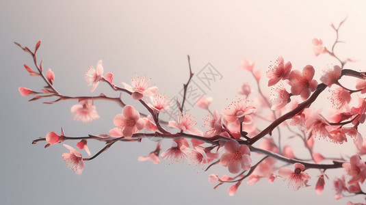 粉色樱花垂直伸展背景图片