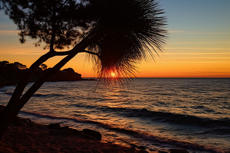 黄昏的沙滩风景图片