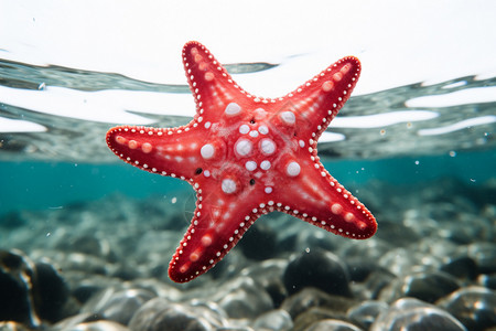 褐色漂浮星星海洋中漂浮的水星背景