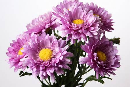 好看花朵花束好看的紫色花背景