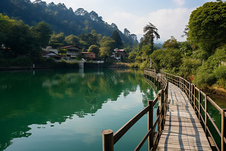 台湾景点里的木桥图片