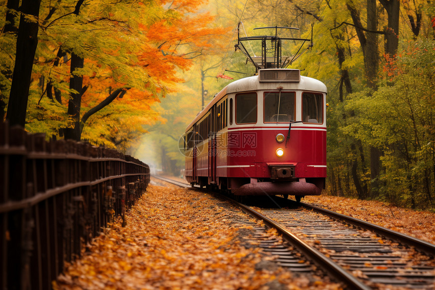穿过秋日树林的列车图片