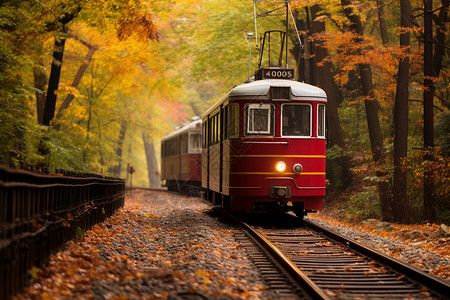 秋季树林中行驶的老式列车背景图片