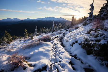 雪后美丽的山林景观图片