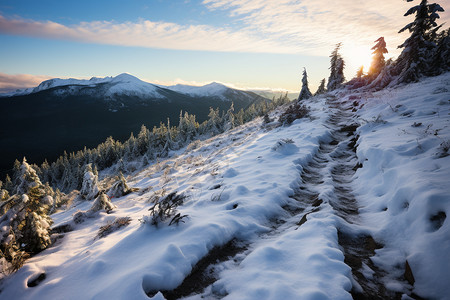 大雪覆盖的山林景观图片