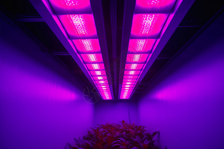 科技植物照明图片