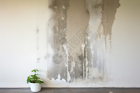 潮湿的房间室内发霉的墙壁背景