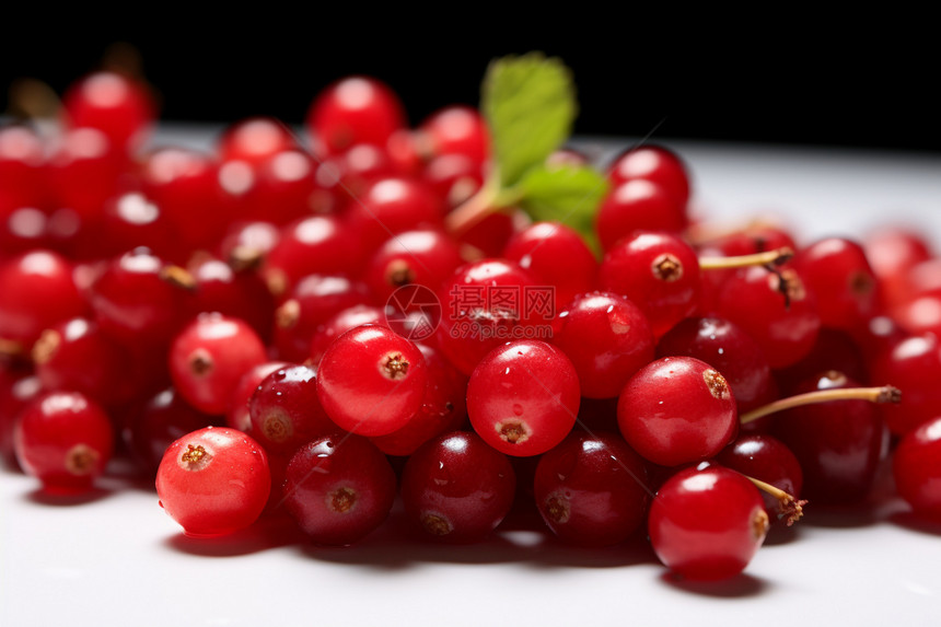 新鲜多汁的蔓越莓果实图片